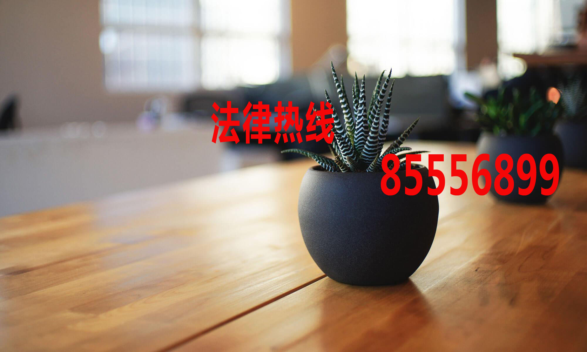 乐清律师15356291688_温州市乐清市律师